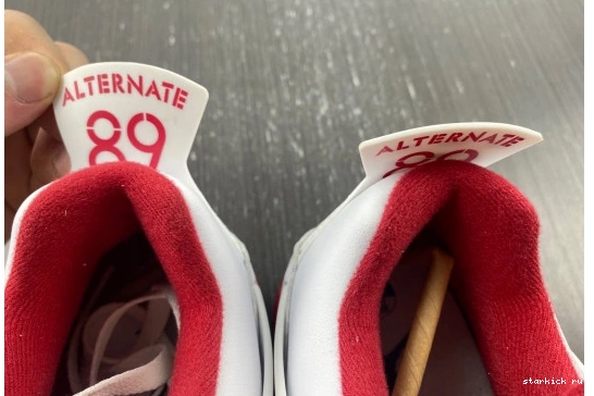 308497-106 Alternate 4 89 308497-106 Jordan Retro 0505